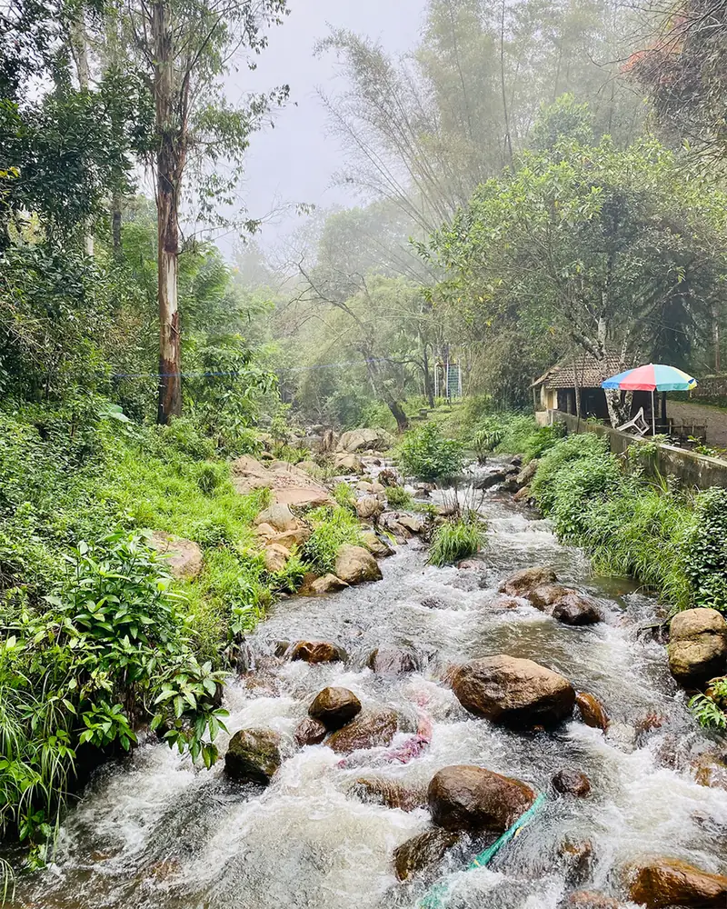 The stream running over rocks through the forest on the property